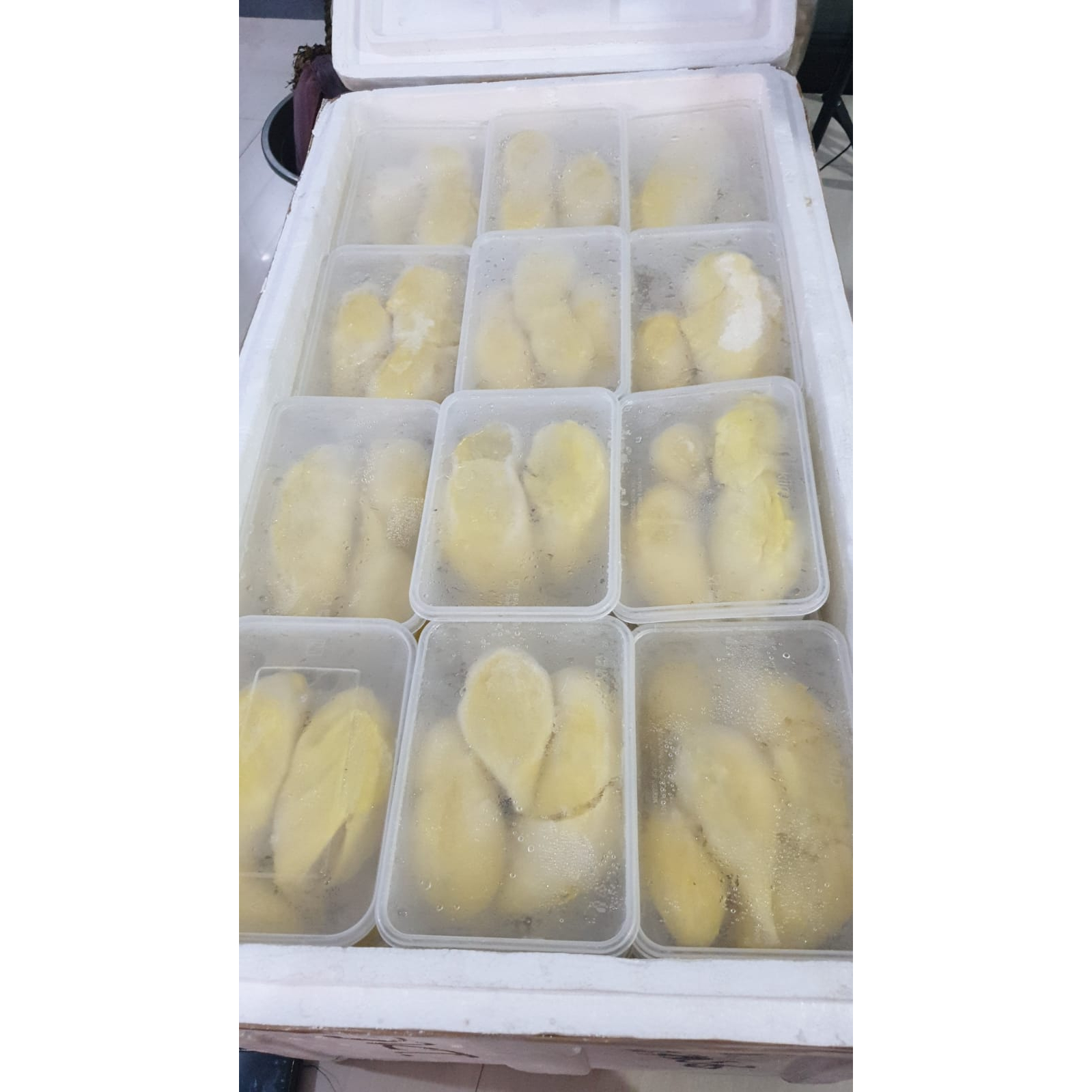 Duren Monthong Palu