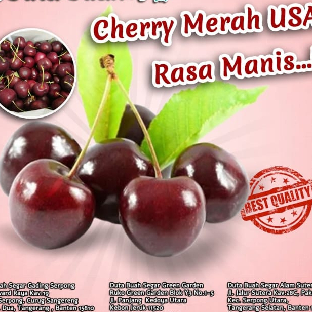 

Cherry Promo Cherry Merah Usa 500 Grm