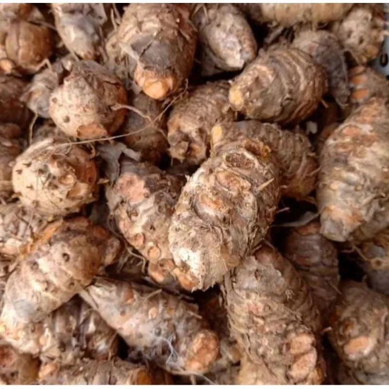 

Biang kunyit Empu nya kunyit