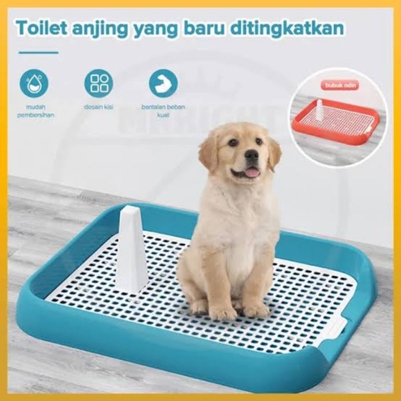 Pet Toilet Training Tray Pee Pad Gampang dibersihkan dan dicuci.