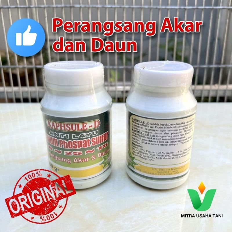 KAPHSULE D 300 gr PERANGSANG AKAR DAN DAUN
