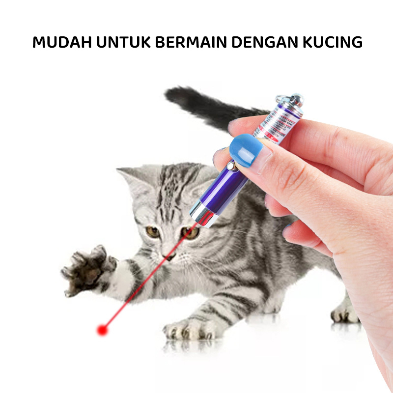 Mainan Kucing Laser Pointer Cat Toys 2 in 1 LED Laser Pointer Kucing Anjing