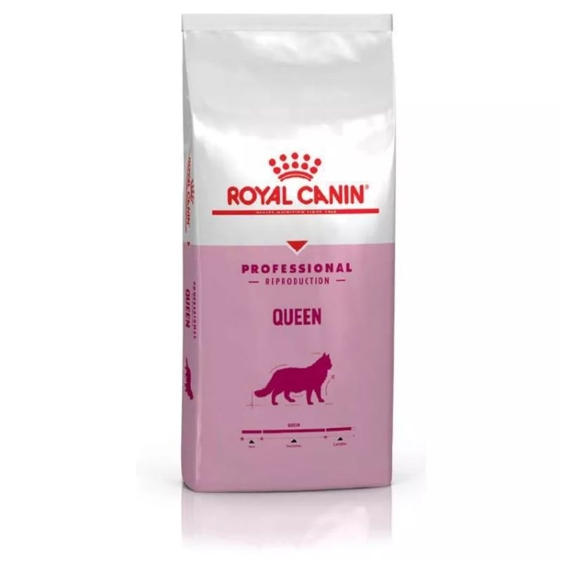 Royal canin pro queen 4kg. Makanan kucing hamil dan menyusui