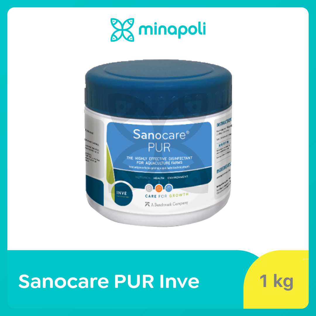 Desinfektan Tambak Udang dan Ikan Sanocare PUR Inve Kemasan 1 kg