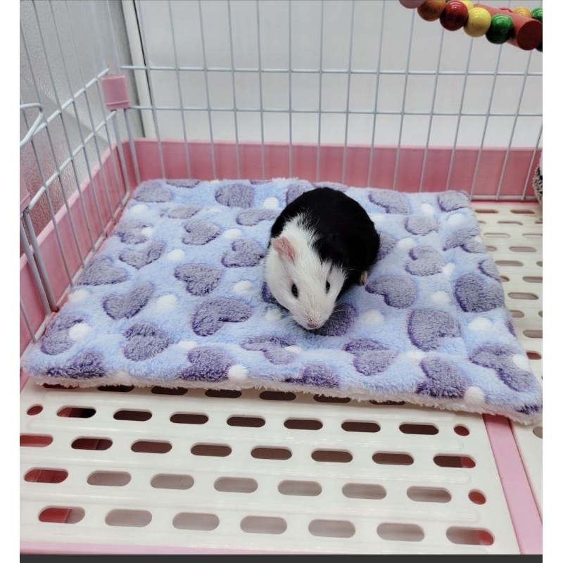 Tatakan Kandang Alas Kandang Sugar Glider Hamster Marmut Kelinci Landak Mini