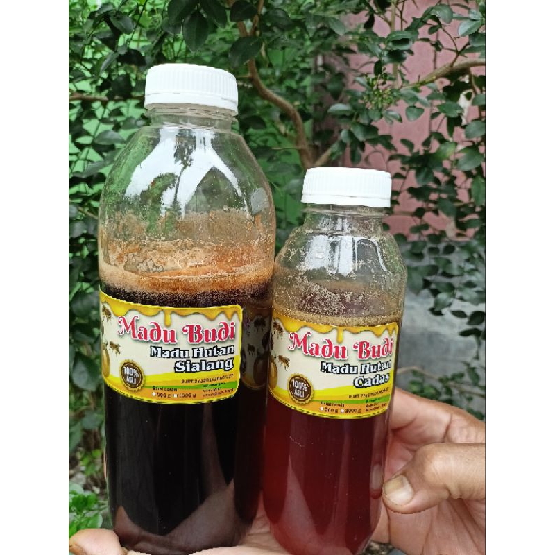 

Madu hutan liar asli 100% 500gr