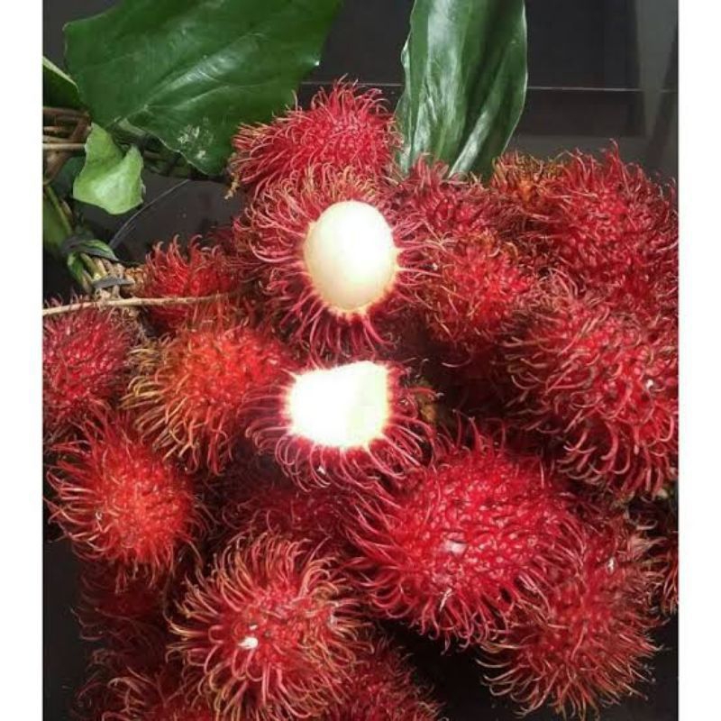 

Rambutan binjai 1kg -+ manis mengelupas