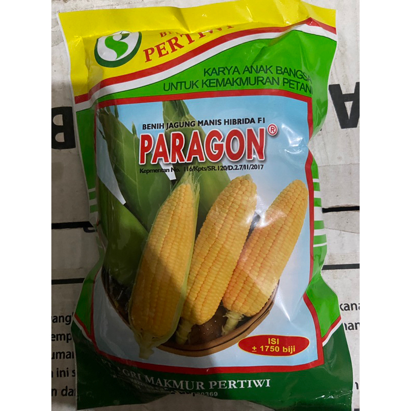 Jagung Paragon