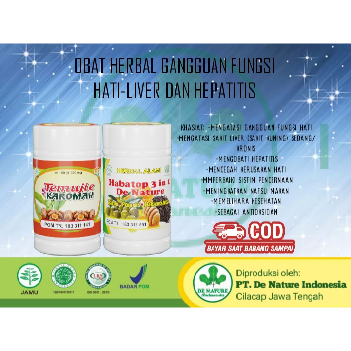 OBAT HEPATITIS LIVER PENYAKIT KUNING RADANG TEMUJIE HABATOP HERBAL ALAMI DE NATURE