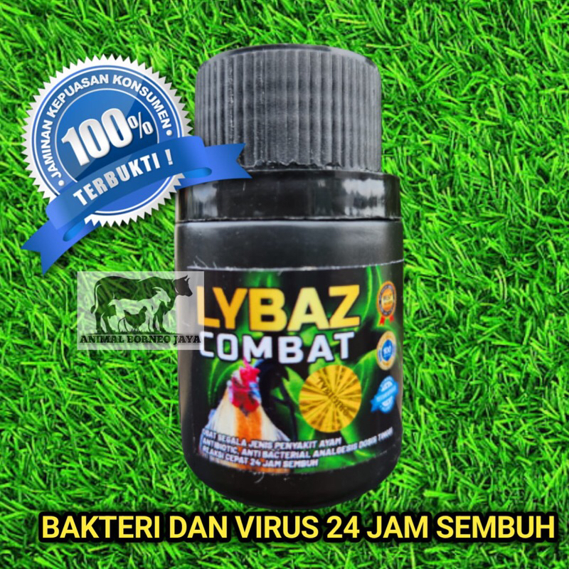 Lybaz Combat
