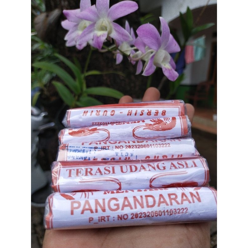 

terasi udang khas pangandaran