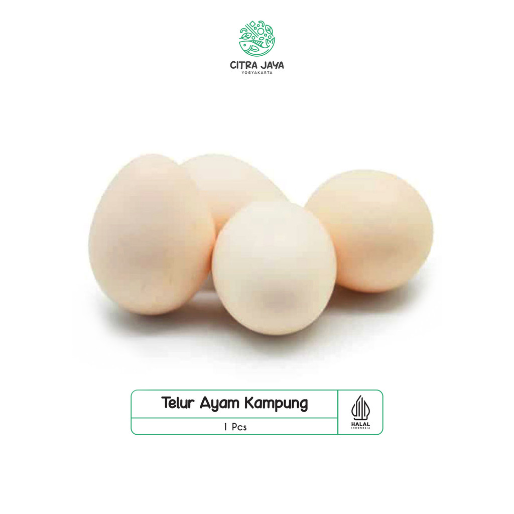 

Telur Ayam Kampung 1Pcs - Citra Jaya Yogyakarta