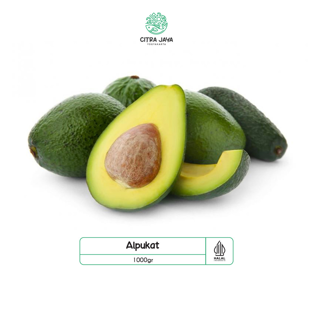 

Alpukat / Avocado 1000g - Citra Jaya Yogyakarta