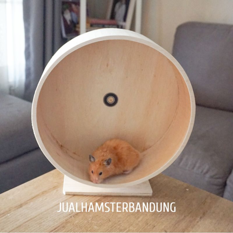Kincir Untuk Hamster | Wheel Hamster diameter 30cm | Kincir Hamster 30cm | Kincir Kayu Hamster 30cm 
