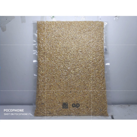 Makanan Burung Canary Seed Kenari Seed Kemasan 500gram