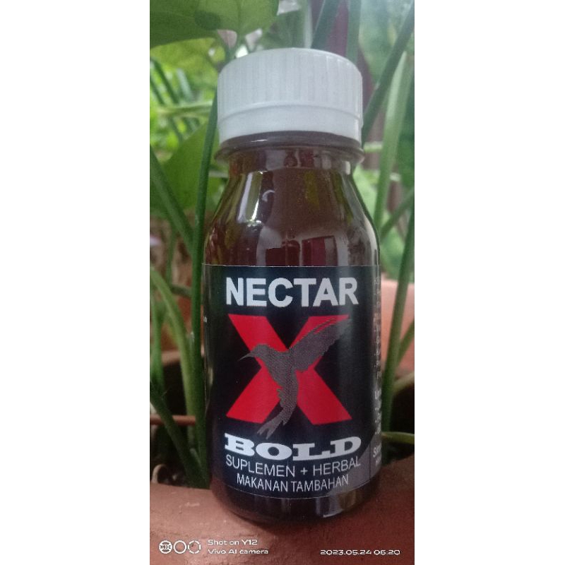 NECTAR-X BOLD