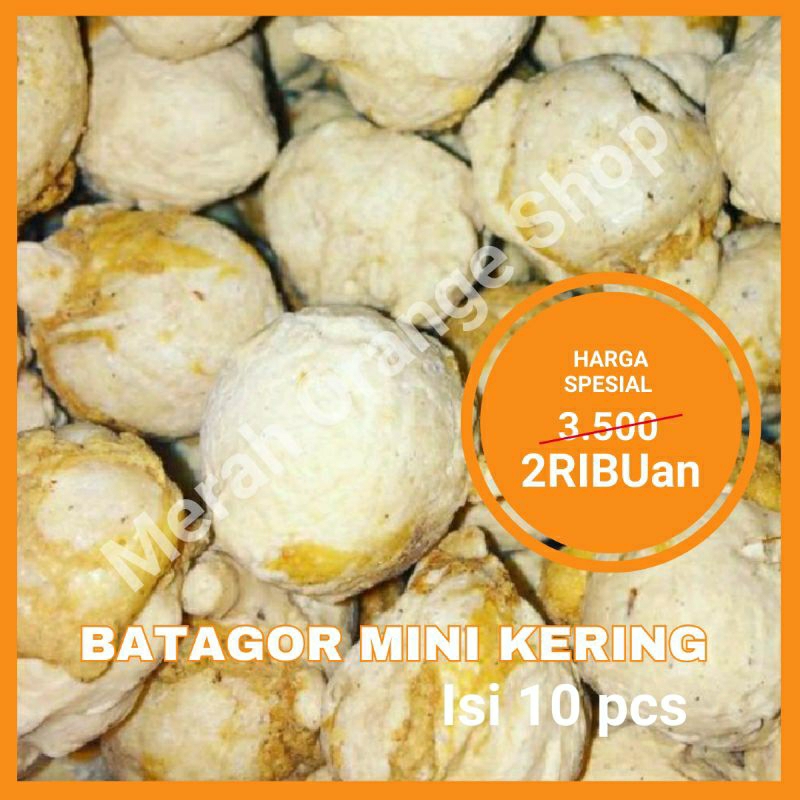 

Batagor Mini Kering Isi 10 Butir