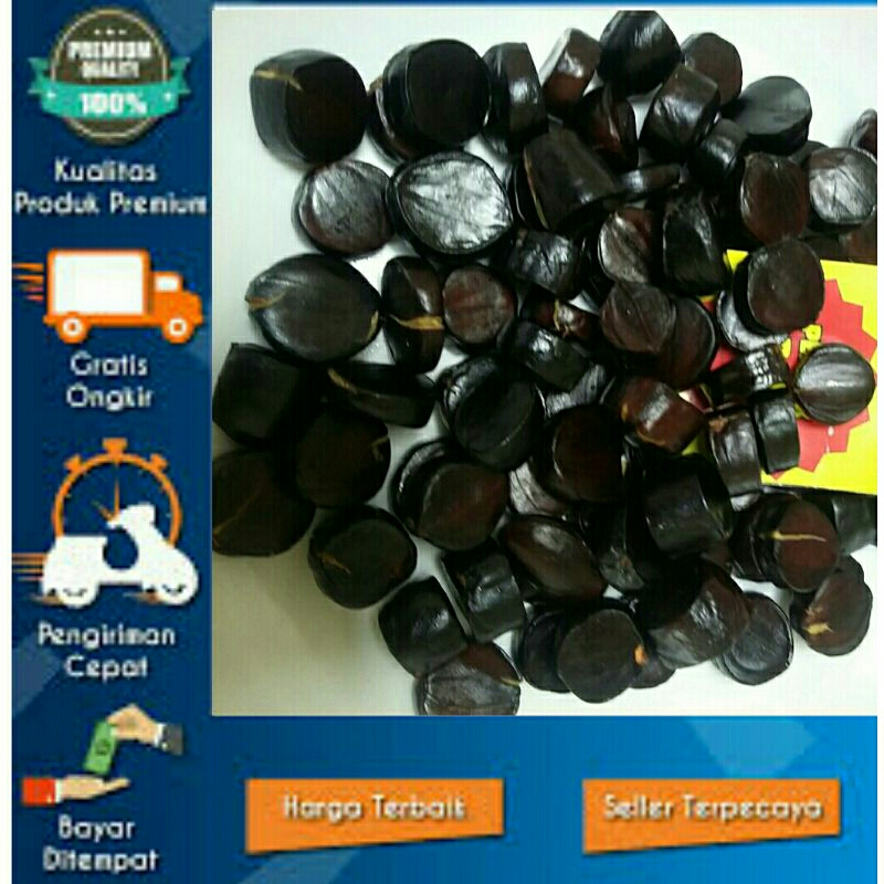 

Authentic | Kabau | Julang Jaling - Anti Prostat