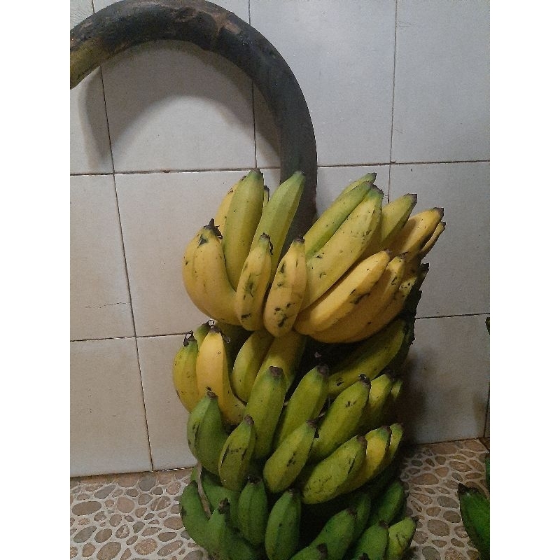 

Pisang Ambon super