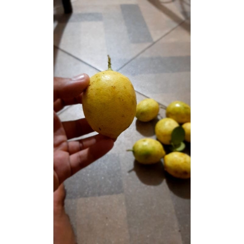 

Lemon