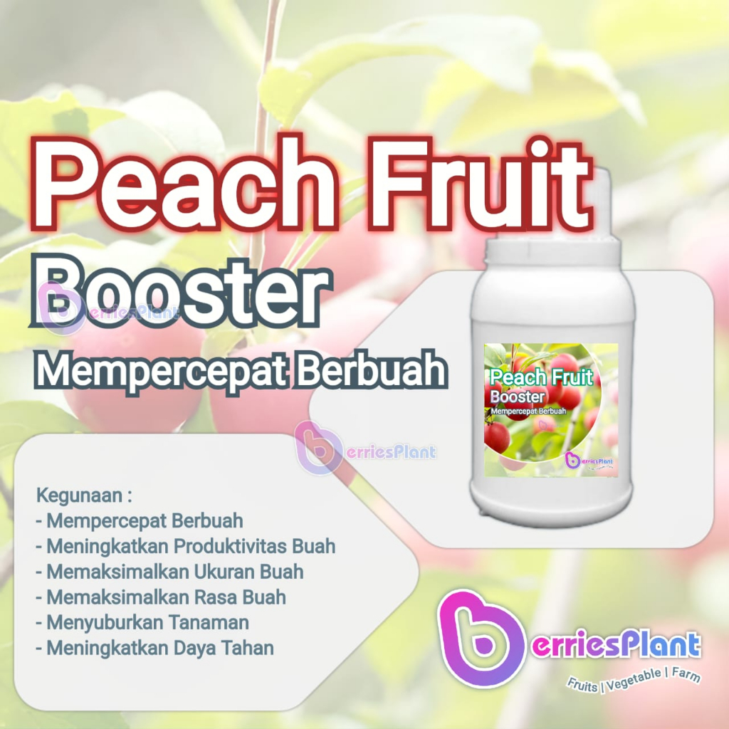 Booster Buah Peach SUPER | Mempercepat Berbuah | Perangsang Bunga  |  Perangsang Buah | Cepat Berbua