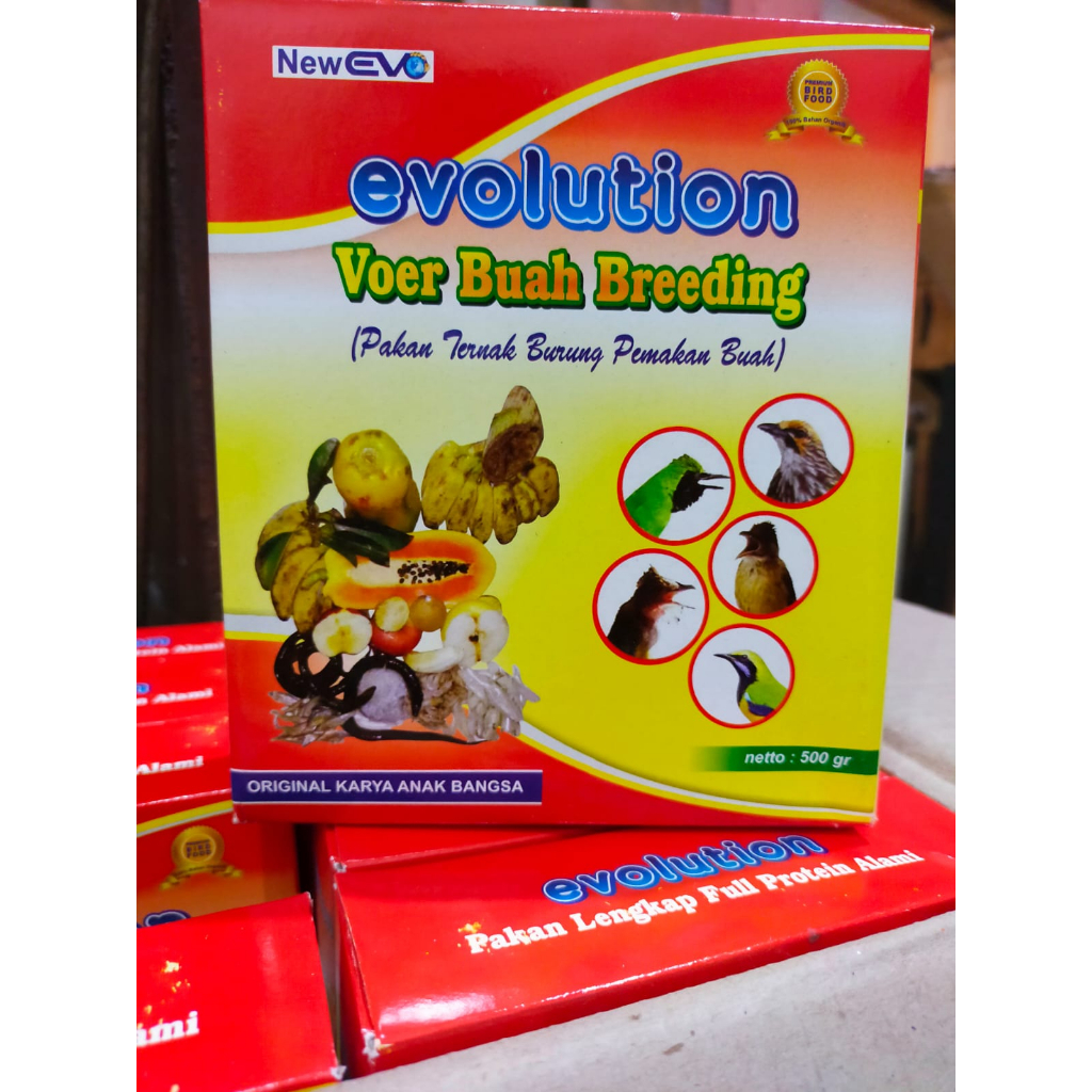VOER EVOLUTION VOER EVO SHAMA BREEDING PAKAN TERNAK BURUNG PEMAKAN BUAH