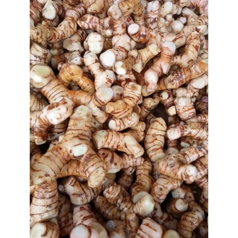 

Lengkuas putih / laja sayur / Laos sayur segar 1 kg