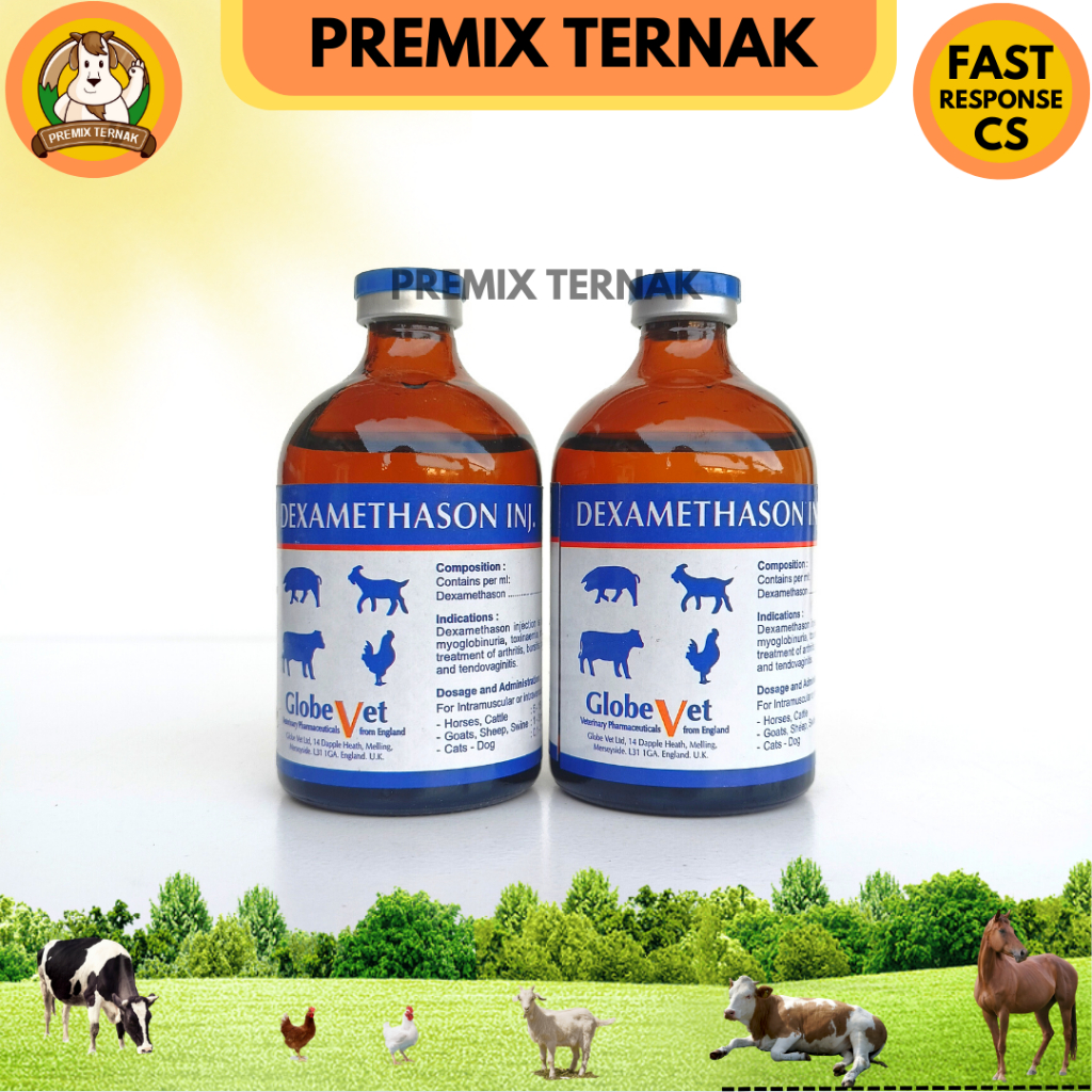 DEXA GLOBE VET 100 ml - DEXAMETHASON PANTEX HOLLAND