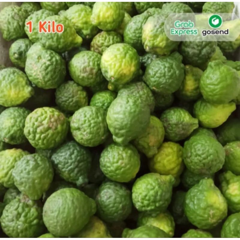 

jeruk purut 1kg segar dan murah