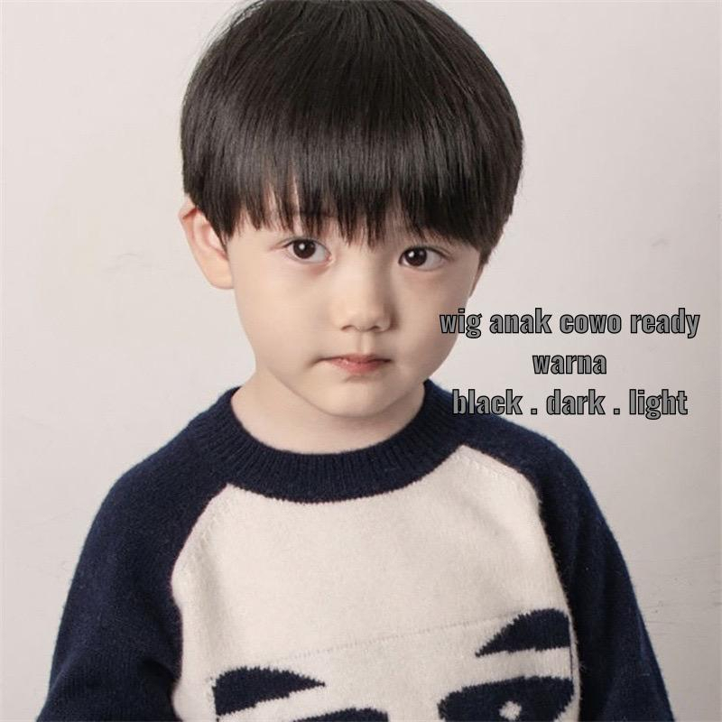 wig anak pria wig anak cowo wig anak boy61178