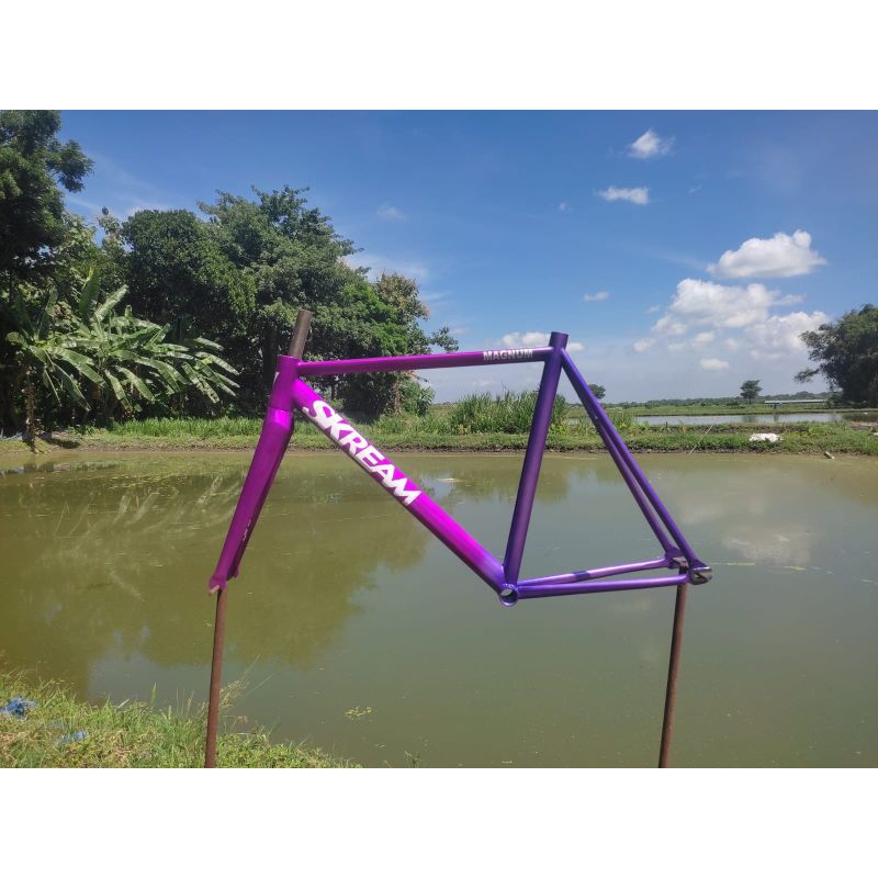 Frameset Fixie Scream