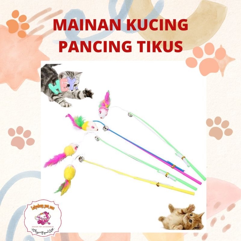 MAINAN KUCING PANCING TIKUS