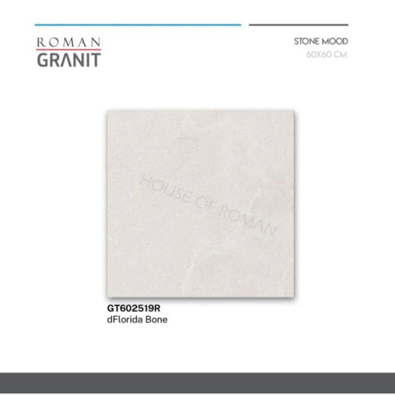 Granit 60x60cm/Granit Lantai Industrial/dFlorida Bone/Keramik Lantai Abu-abu