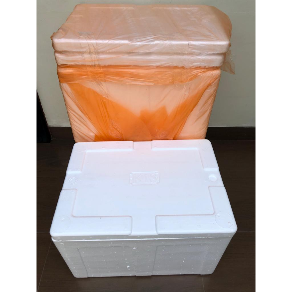 Box Styrofoam GG 52,5 x 37,5 x 34cm