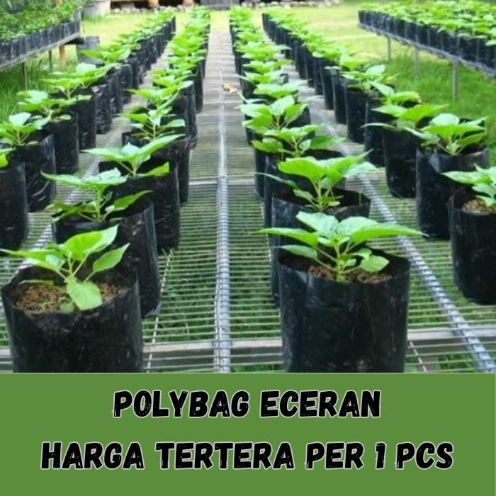 polybag eceran/plastik polybag/polybag per pcs/polybag penyemaiyan/polybag untuk tanaman