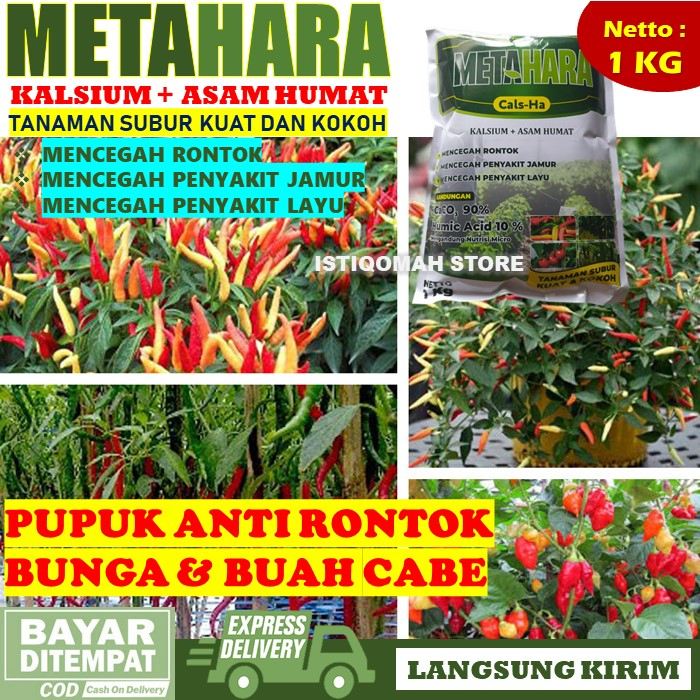 METAHARA 1KG Pupuk Kalsium Cabe Melebatkan Cabe Tanpa Rontok, Pupuk Pelebat Buah Cabe Anti Rontok Pa