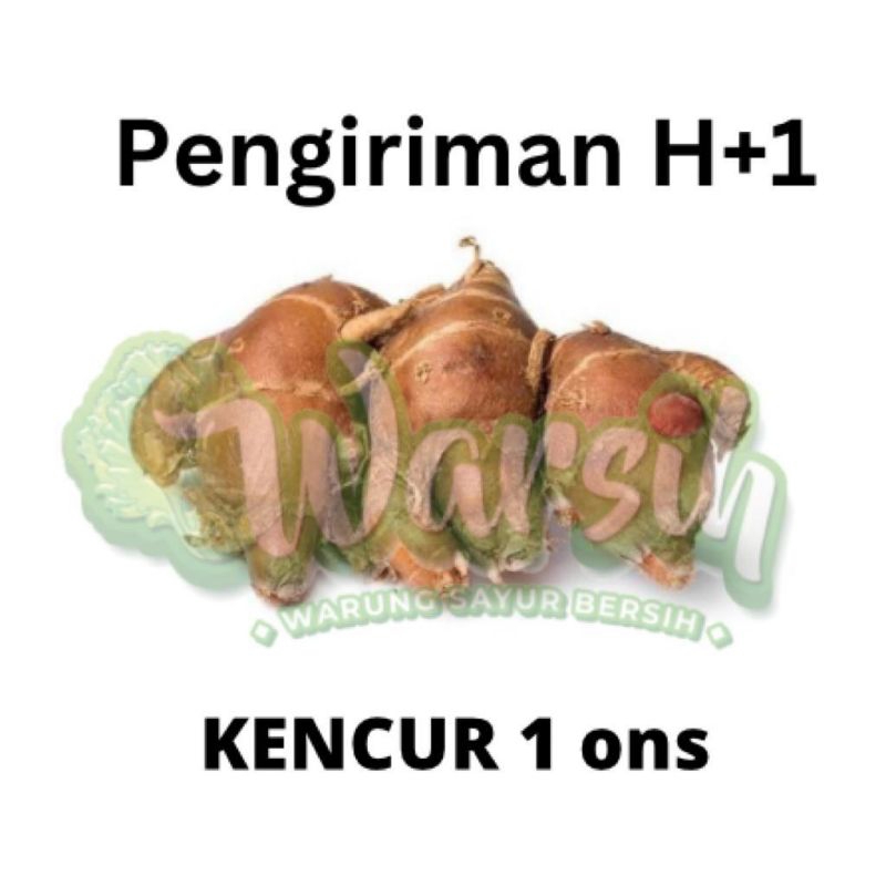 

WARSIH • KENCUR 100GR