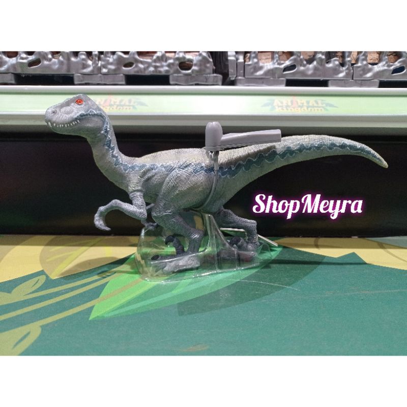 Mainan Figure Hewan Dinosaurus Recur Velocisaurus