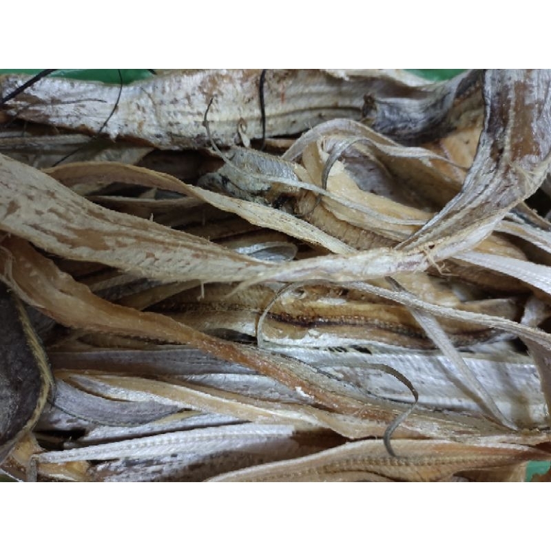 

pehu / tali pinggang