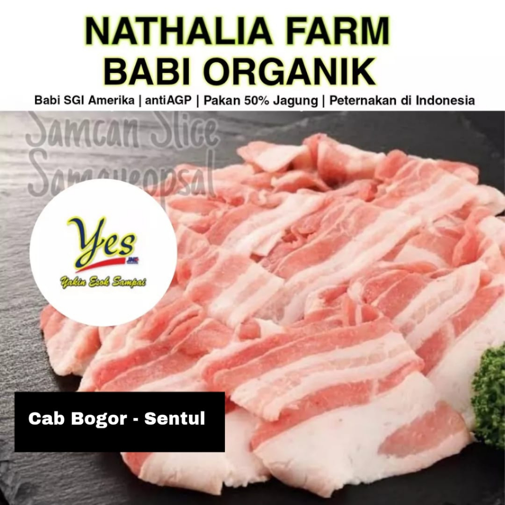 

Babi Organik SAMCAN SLICE SAMGYEOPSAL300 gr daging babi organik nathalia farm organic pork