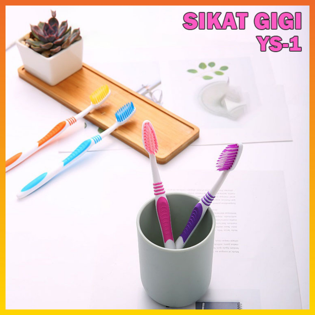 Sikat Gigi Isi 4PCS warna pastel  Dengan Bulu Halus dan Lembut Cotton Toothbrush Double Care Sensitive WHFURNITIRE