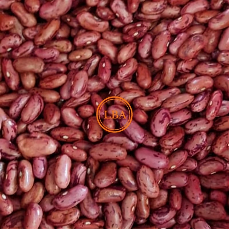 

Kacang Merah JOGO 250 Gram