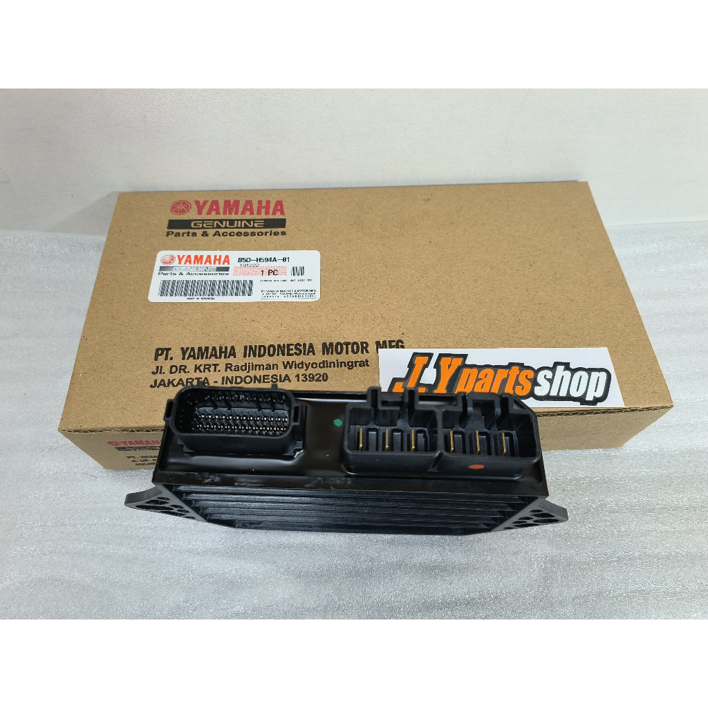 ECU ECM SGCU FREEGO FREE GO STANDAR ORIGINAL YGP B5D-H594A-01