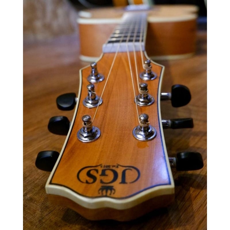 GITAR AKUSTIK JGS DX 01 NA