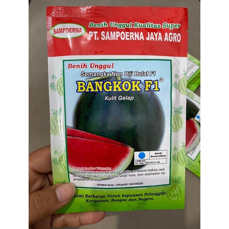 Bibit semangka non biji BANGKOK F1 20gr