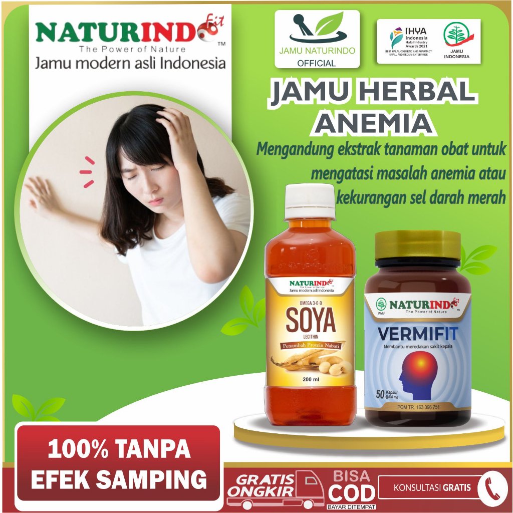 Obat Anemia Herbal SOYA VERMIFIT Naturindo