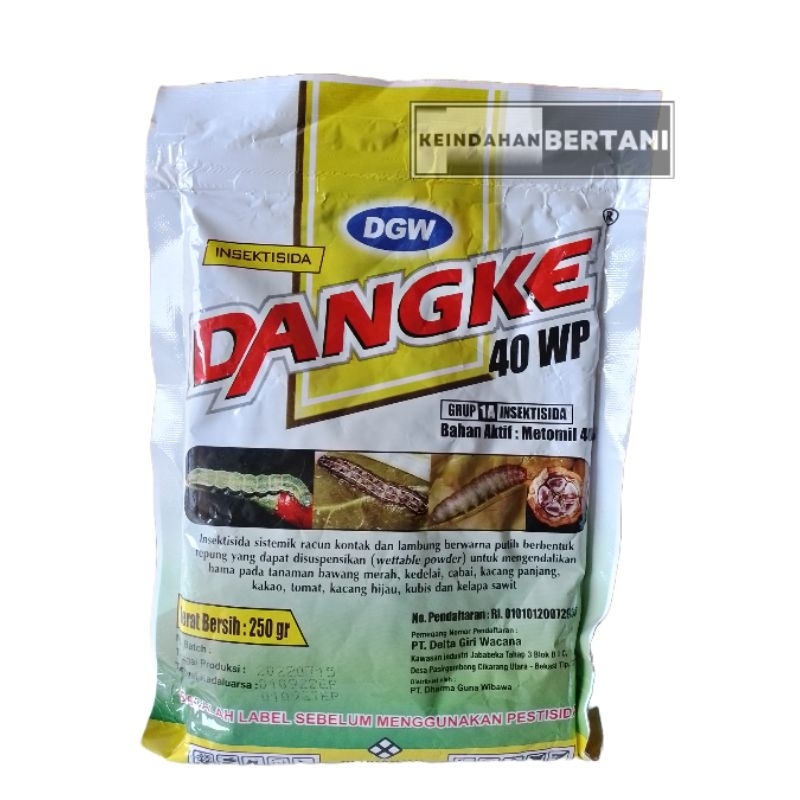 DANGKE 40WP 250gr