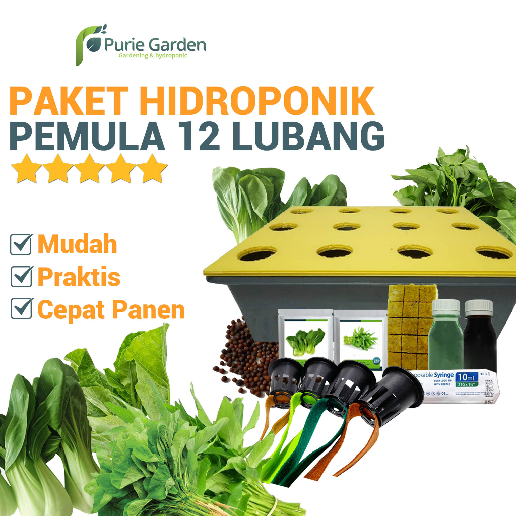 Paket Hidroponik Lengkap Wick System 12 Lubang 1 Bak #Edisidirumahaja PG KDR