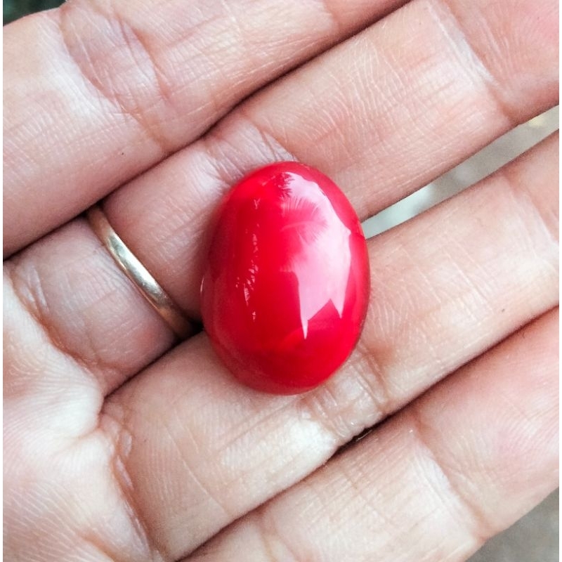 batu rubah merah Banyuwangi