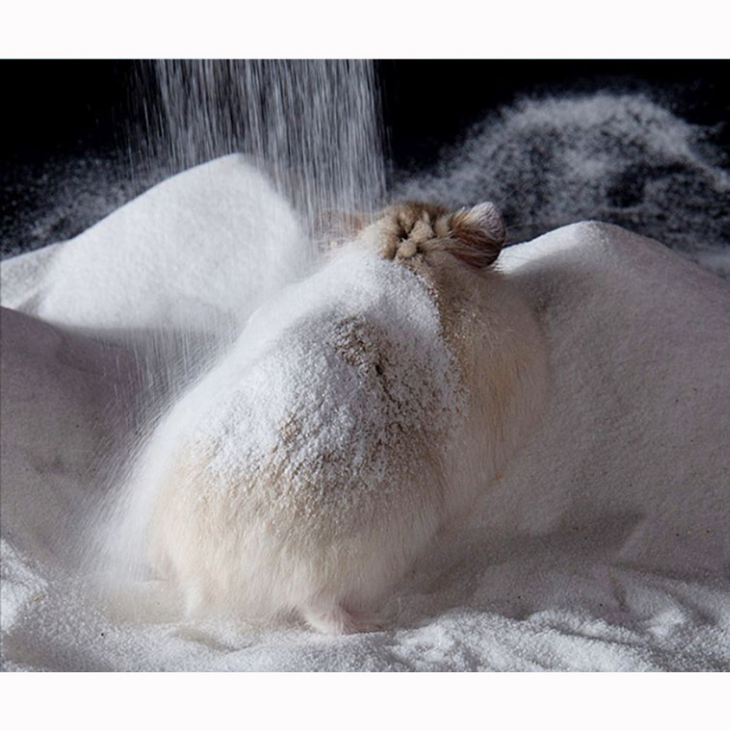 Pasir Hamster Wangi Segar Dan Lembut Hamster Bath Sand Mandi Dengan 5 Bau Untuk Dimandikan Dan Menggunakan Beruang Sutra Emas Totoro Yang Bau Untuk Digunakan